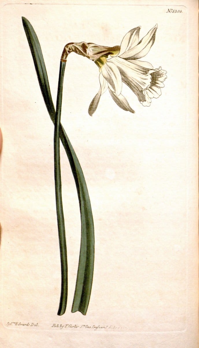 Dragable Image