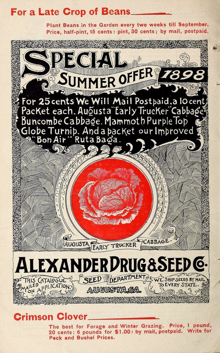 Catalogue of seeds for summer and fall sowing. Augusta, Ga. :Alexander Drug & Seed Co.,1 | Agriculture Catalogs "Equipment and supplies" Fruit Seeds Vegetables  | Vintage Print Reproduction 451090