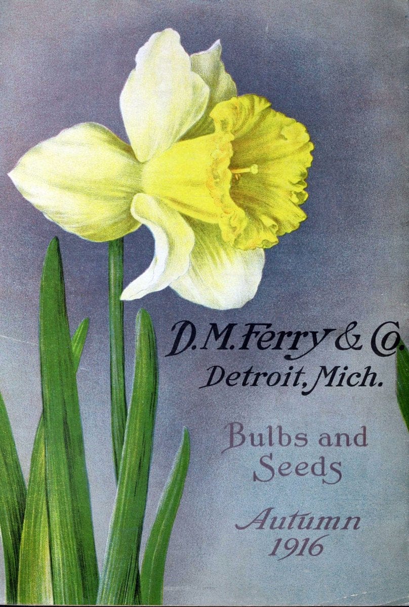 Bulbs and seeds :.Detroit, Mich. :D.M. Ferry & Co.,1920.  | "Bulbs (Plants)" Catalogs "D.M. Ferry & Co" Seeds Vegetables  | Vintage Print Reproduction 451294