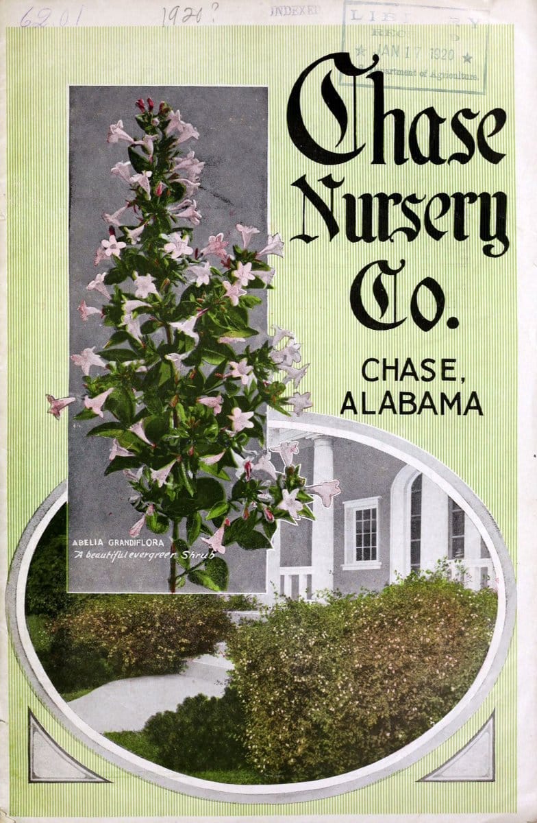 Chase Nursery Co. /.Chase, Ala. :The Nursery,[1920]. | Catalogs Gardening "Nurseries (Horticulture)"  | Vintage Print Reproduction 451543