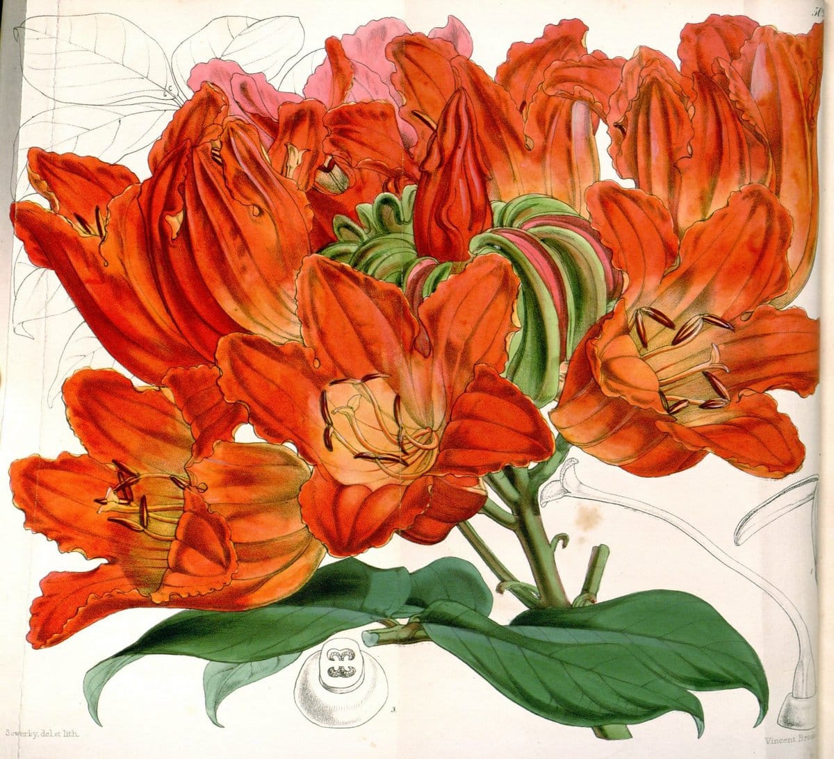 Dragable Image