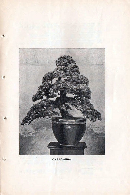 Catalogue :.New York, NY :Cleary & Co.,. | Vintage Print Reproduction 451813