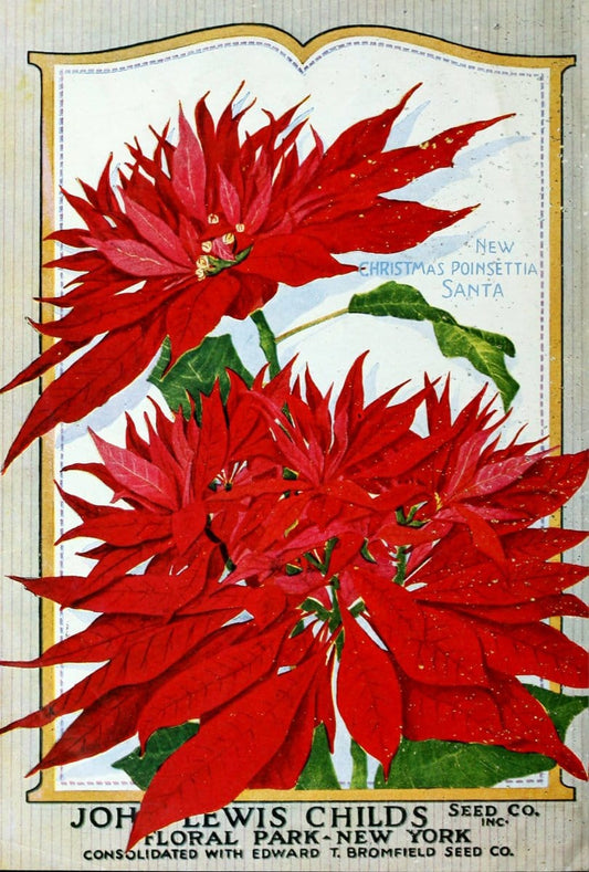 Childs' fall catalog /.Floral Park, N.Y. . | "Bulbs (Plants)" Catalogs "Commercial catalogs" Flowers "John Lewis Childs (Firm)" "Nurseries (Horticulture)" Seeds  | Vintage Print Reproduction 451944