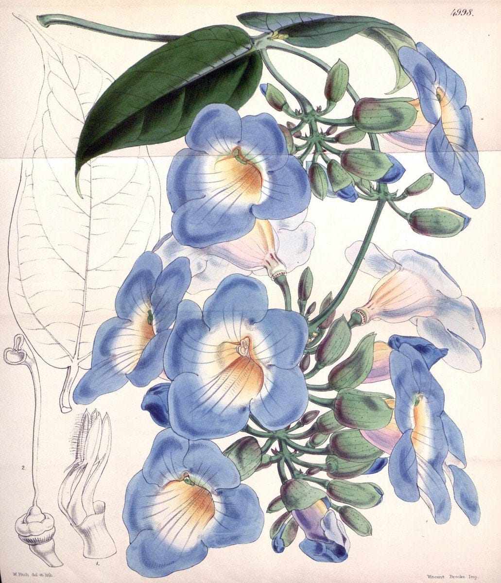 Dragable Image