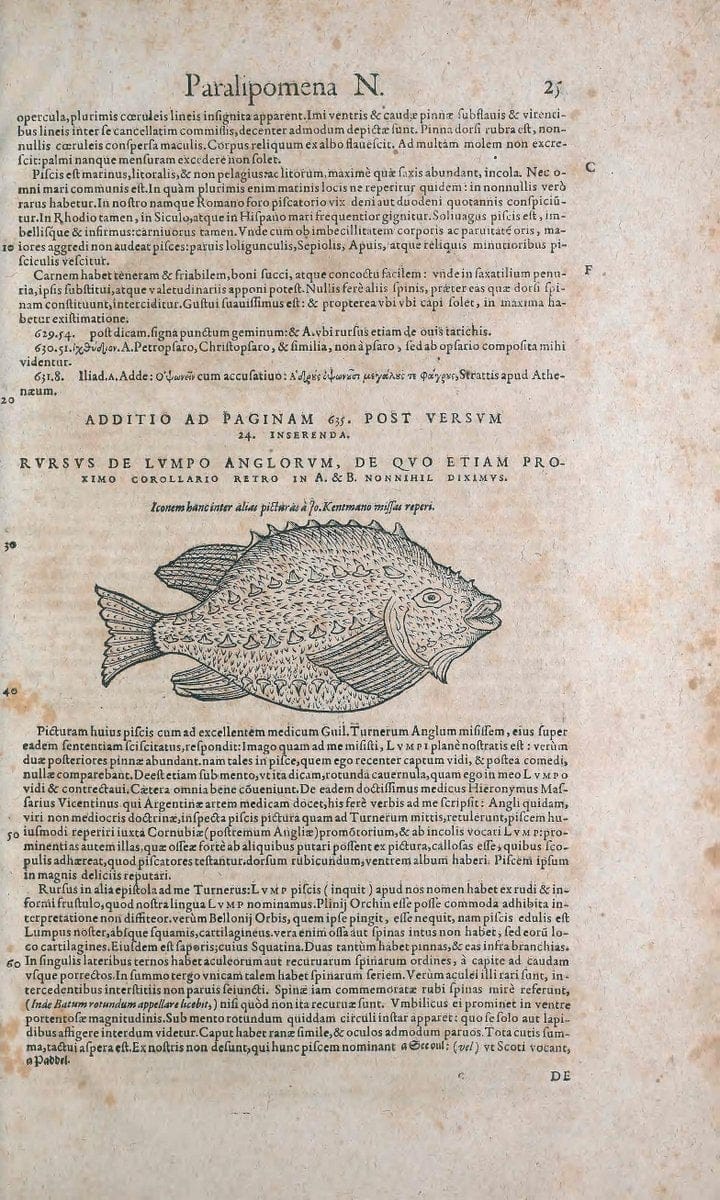 Conradi Gesneri medici Tigurini Historiae animalium liber IV :.Francofurti :In Bibliopol | "Early works to 1800" Fishes Mollusks "Pre-Linnean works" Zoology | Vintage Print Reproduction 452361