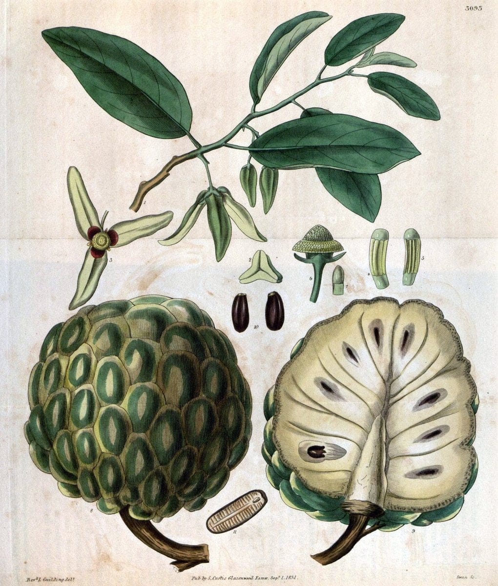 Dragable Image
