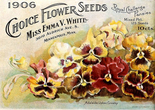 Choice flower seeds /.Minneapolis :Emma V. White.  | Vintage Print Reproduction 452495