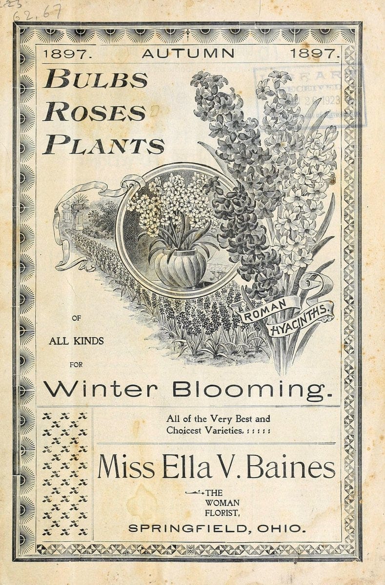 Bulbs roses plants of all kinds for winter blooming :.Springfield, Ohio :Baines,1897. | "Bulbs (Plants)" Catalogs Flowers "Plants, Ornamental" Seeds "Trade catalogs"  | Vintage Reproduction 452549