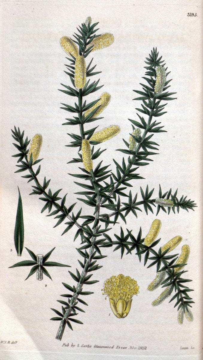 Dragable Image