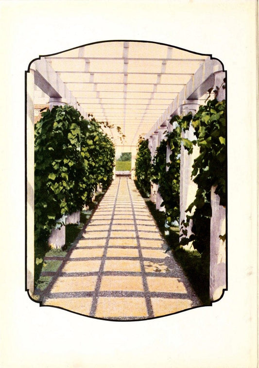 Chase fruit and flowers in natural colorsRochester, N.Y.,Chase brothers company[c1922] | Vintage Print Reproduction 452993