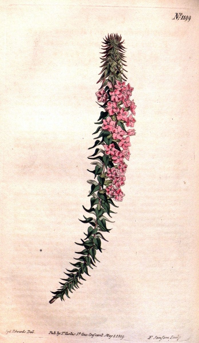 Dragable Image
