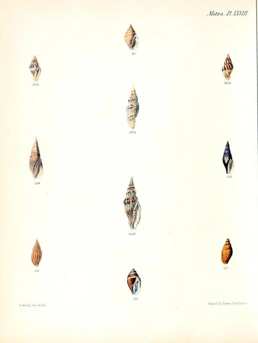Dragable Image