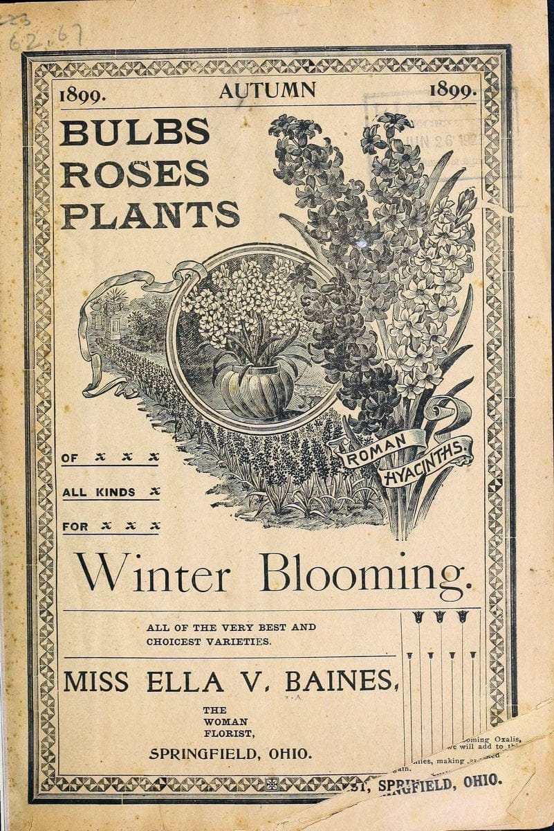 Bulbs roses plants of all kinds for winter blooming :.Springfield, Ohio :Baines,1897. | "Bulbs (Plants)" Catalogs Flowers "Plants, Ornamental" Seeds "Trade catalogs"  | Vintage Reproduction 453475