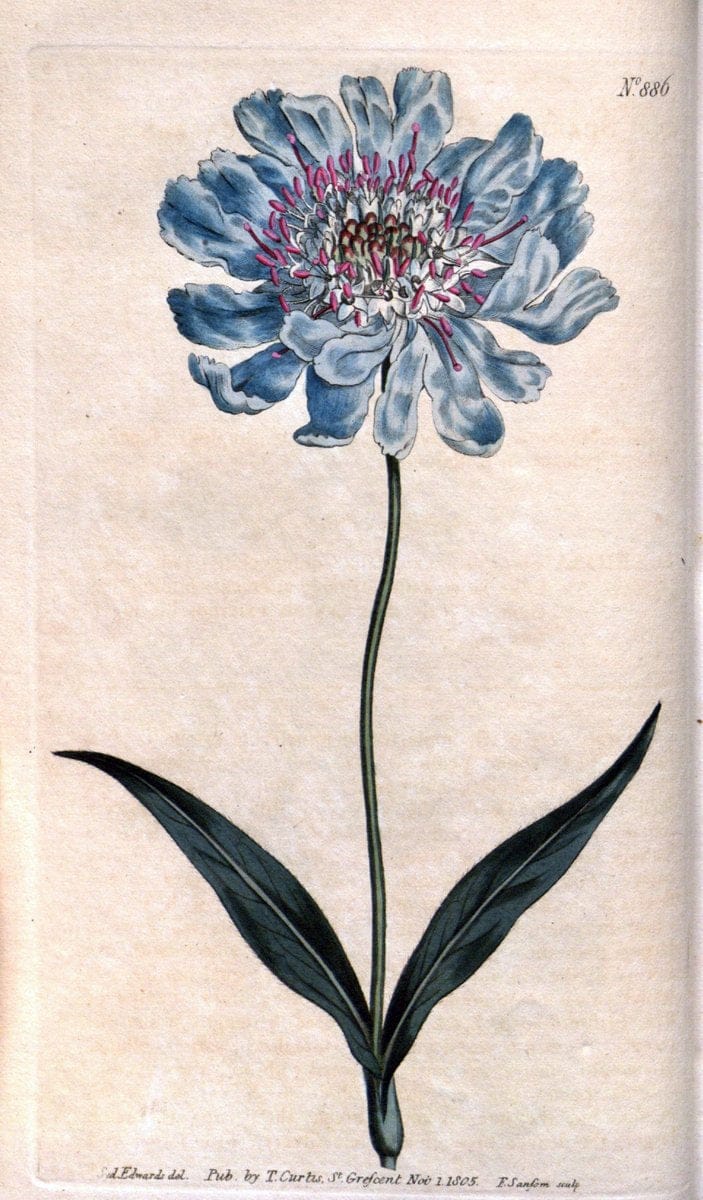 Dragable Image