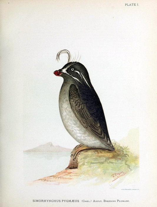 Contributions to the natural history of Alaska. Washington,Govt. Print. Off.1886.  | Alaska "Description and travel" Meteorology "Natural history" | Vintage Print Reproduction 453955
