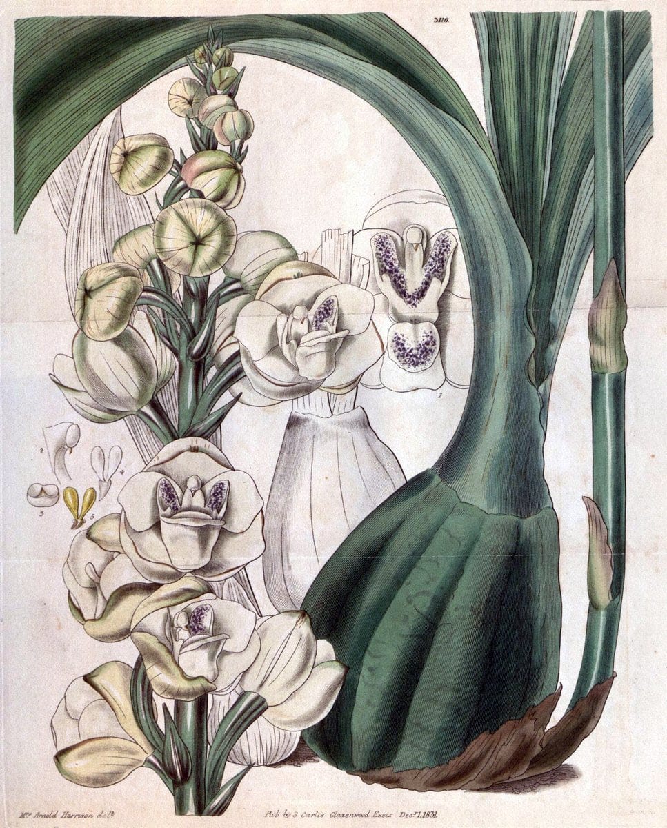 Dragable Image
