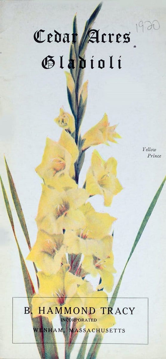Chase fruit and flowers in natural colorsRochester, N.Y.,Chase brothers company[c1922] | Vintage Print Reproduction 454519
