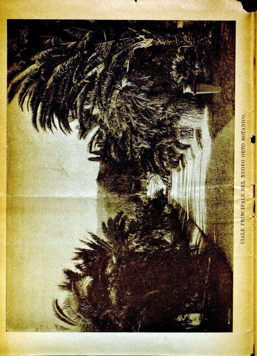 Dragable Image