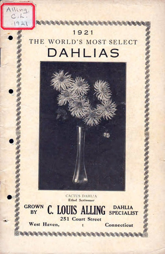 Catalogue of dahlias /.West Haven, Conn. :C. Louis Alling,. | Vintage Print Reproduction 454941