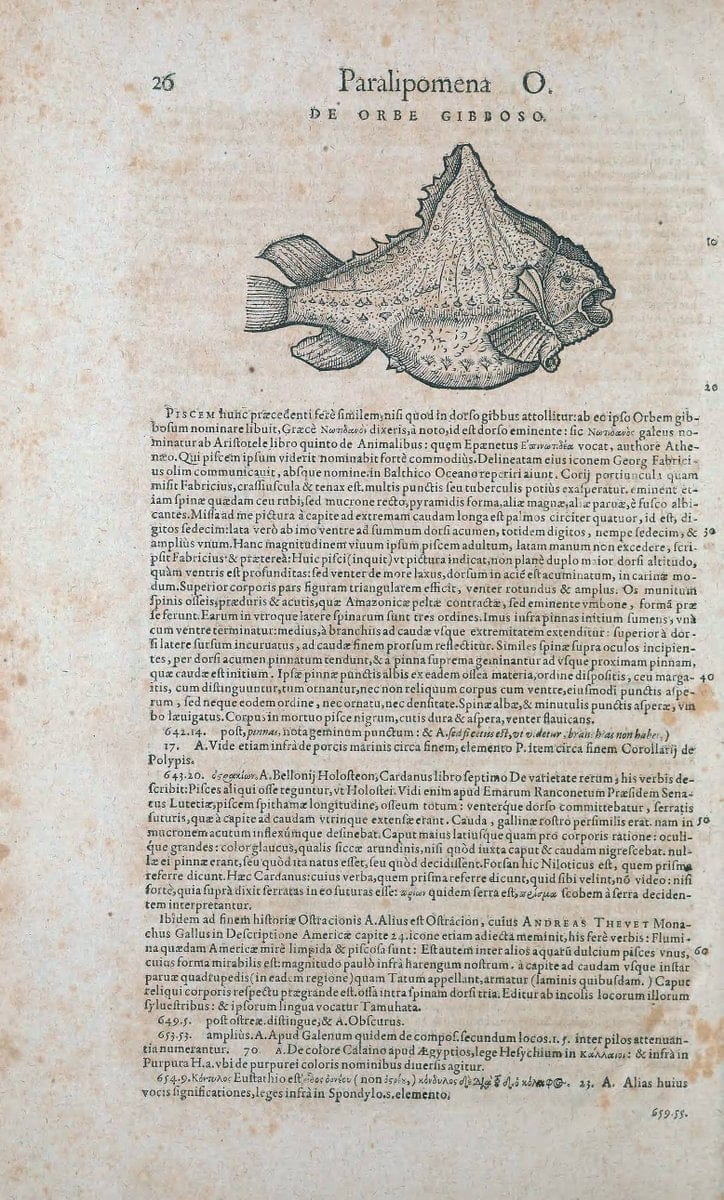 Conradi Gesneri medici Tigurini Historiae animalium liber IV :.Francofurti :In Bibliopol | "Early works to 1800" Fishes Mollusks "Pre-Linnean works" Zoology | Vintage Print Reproduction 456028