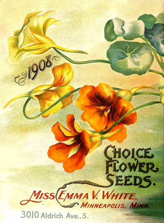 Choice flower seeds /.Minneapolis :Emma V. White.  | Vintage Print Reproduction 456558