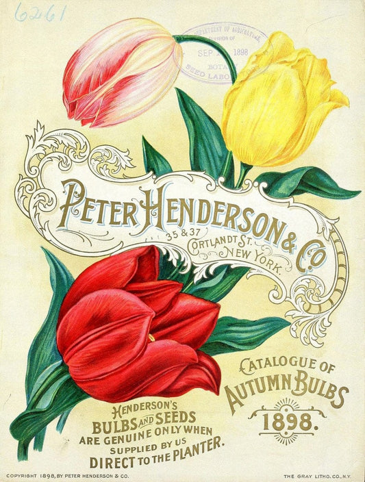 Catalogue of Dutch bulbs /.Lisse, Holland :J.J. Grullemans & Sons.  | Vintage Print Reproduction 456578