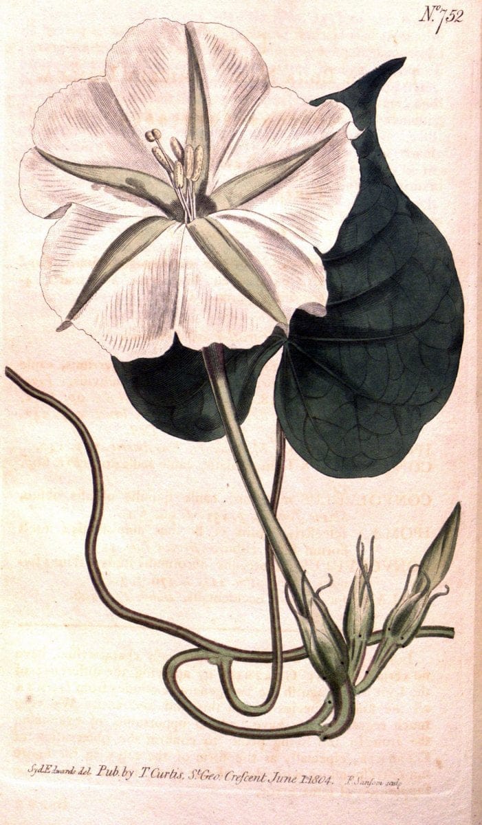Dragable Image