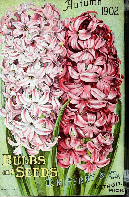 Bulbs and seeds :.Detroit, Mich. :D.M. Ferry & Co.,1920.  | "Bulbs (Plants)" Catalogs "D.M. Ferry & Co" Seeds  | Vintage Print Reproduction 457590