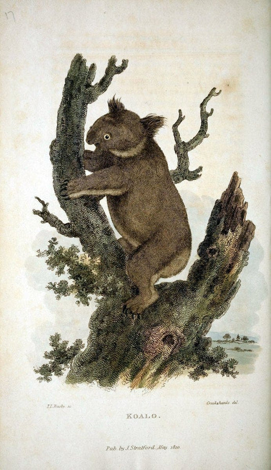 Arcana, or, The museum of natural history :.London :Printed by George Smeeton for James Stratford,1811.. |  | Vintage Print Reproduction 457934