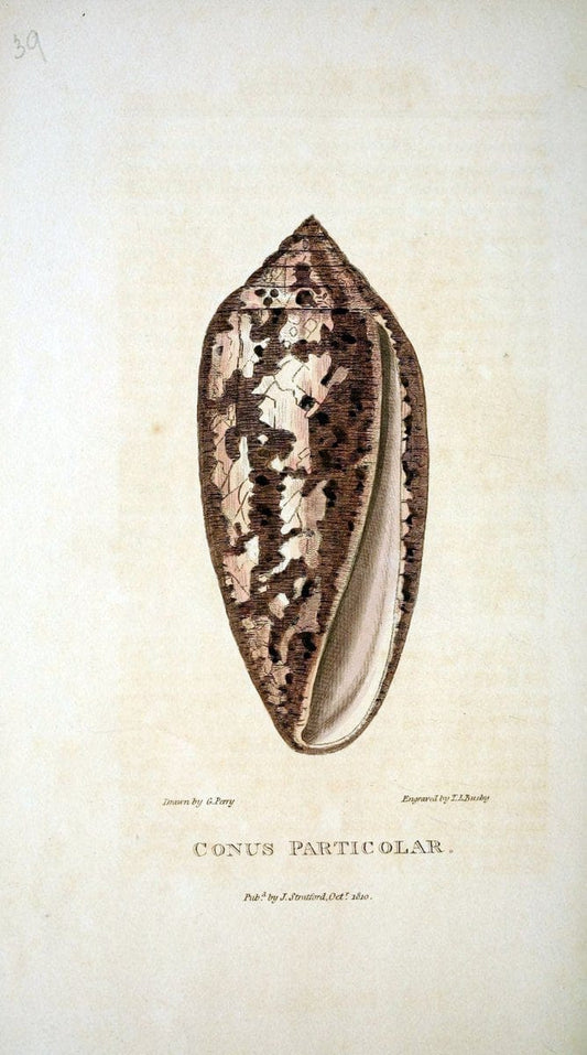 Arcana, or, The museum of natural history :.London :Printed by George Smeeton for James Stratford,1811.. |  | Vintage Print Reproduction 457946