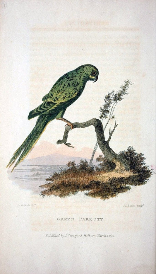 Arcana, or, The museum of natural history :.London :Printed by George Smeeton for James Stratford,1811.. |  | Vintage Print Reproduction 457960
