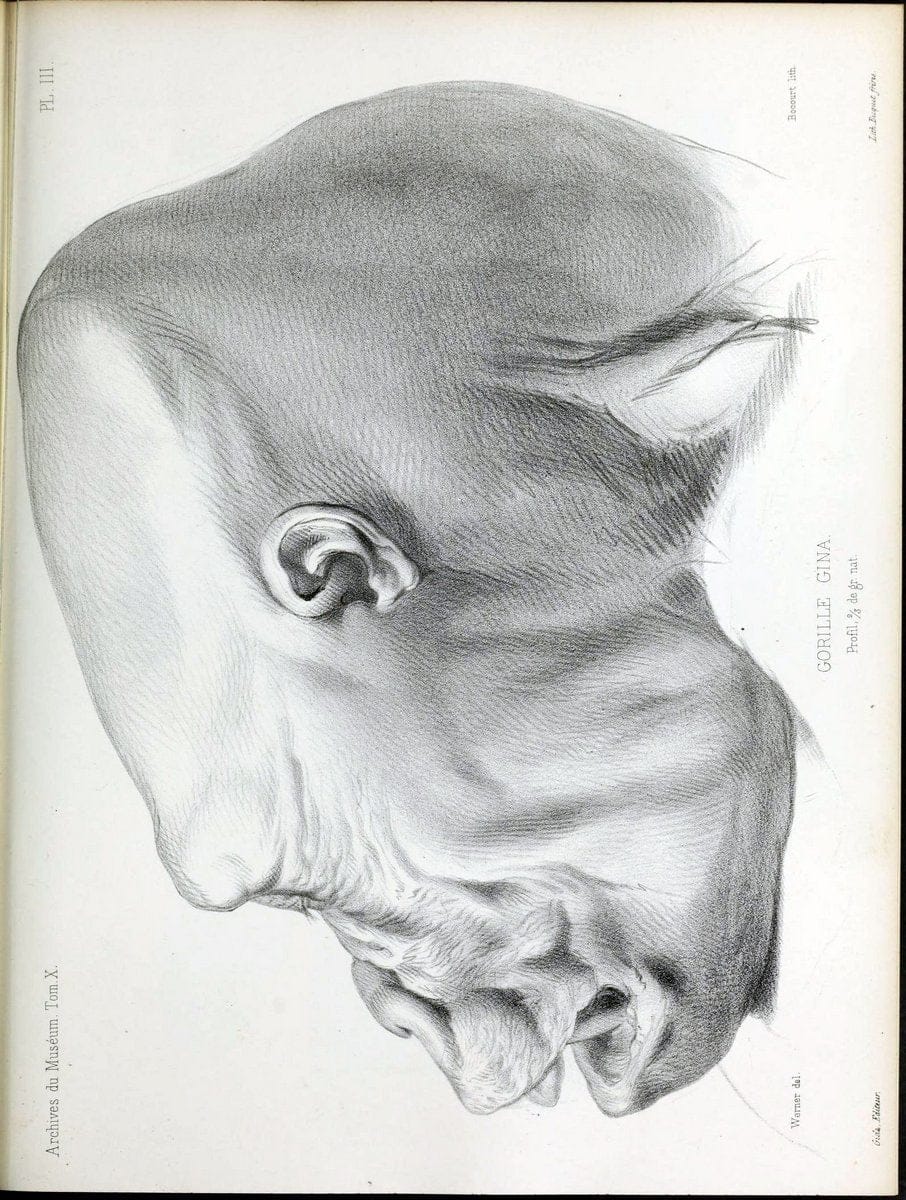 Dragable Image