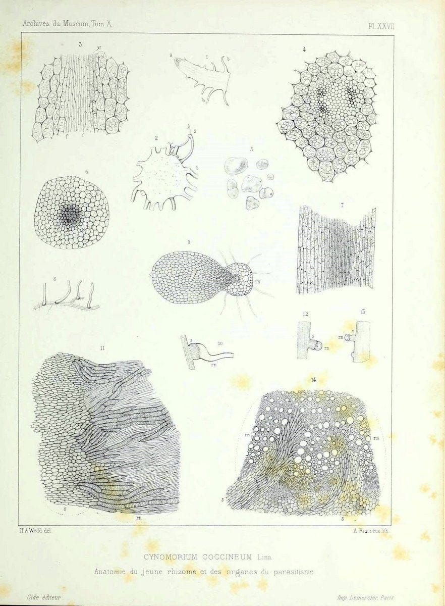 Dragable Image