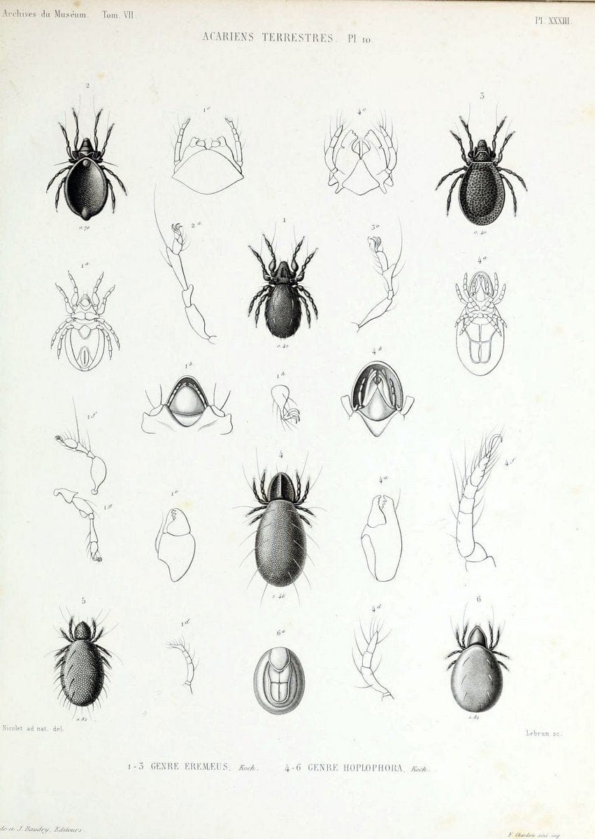 Archives du MusÃ©um d'Histoire Naturelle, Paris.  |  | Vintage Print Reproduction 458069
