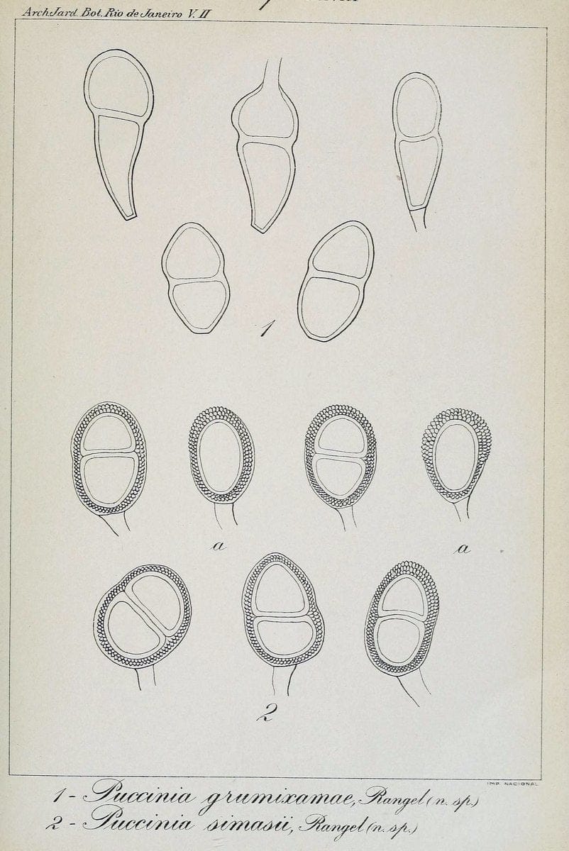 Dragable Image
