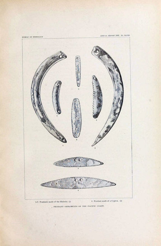 Art in shell of the ancient Americans. Washington,Govt. Print. Off.,1883.  | Antiquities "Indian art" Indians "Shells in art" | Vintage Print Reproduction 458241