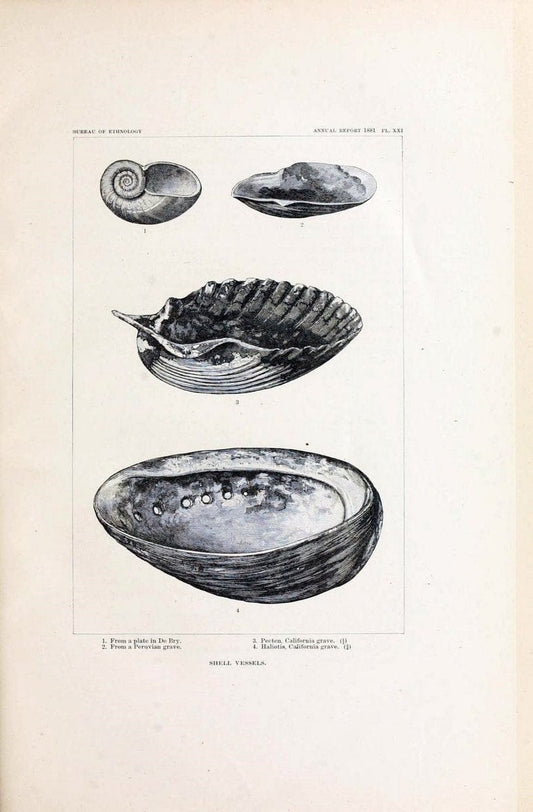 Art in shell of the ancient Americans. Washington,Govt. Print. Off.,1883.  | Antiquities "Indian art" Indians "Shells in art" | Vintage Print Reproduction 458249
