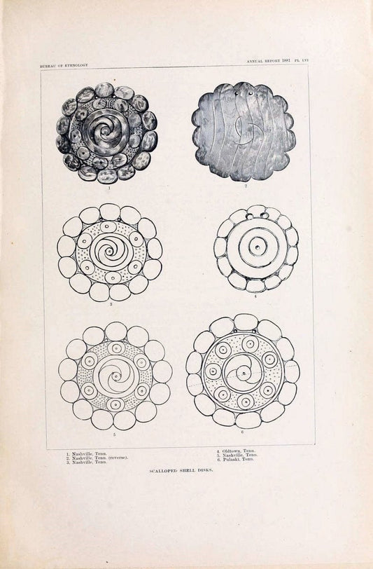 Art in shell of the ancient Americans. Washington,Govt. Print. Off.,1883.  | Antiquities "Indian art" Indians "Shells in art" | Vintage Print Reproduction 458250