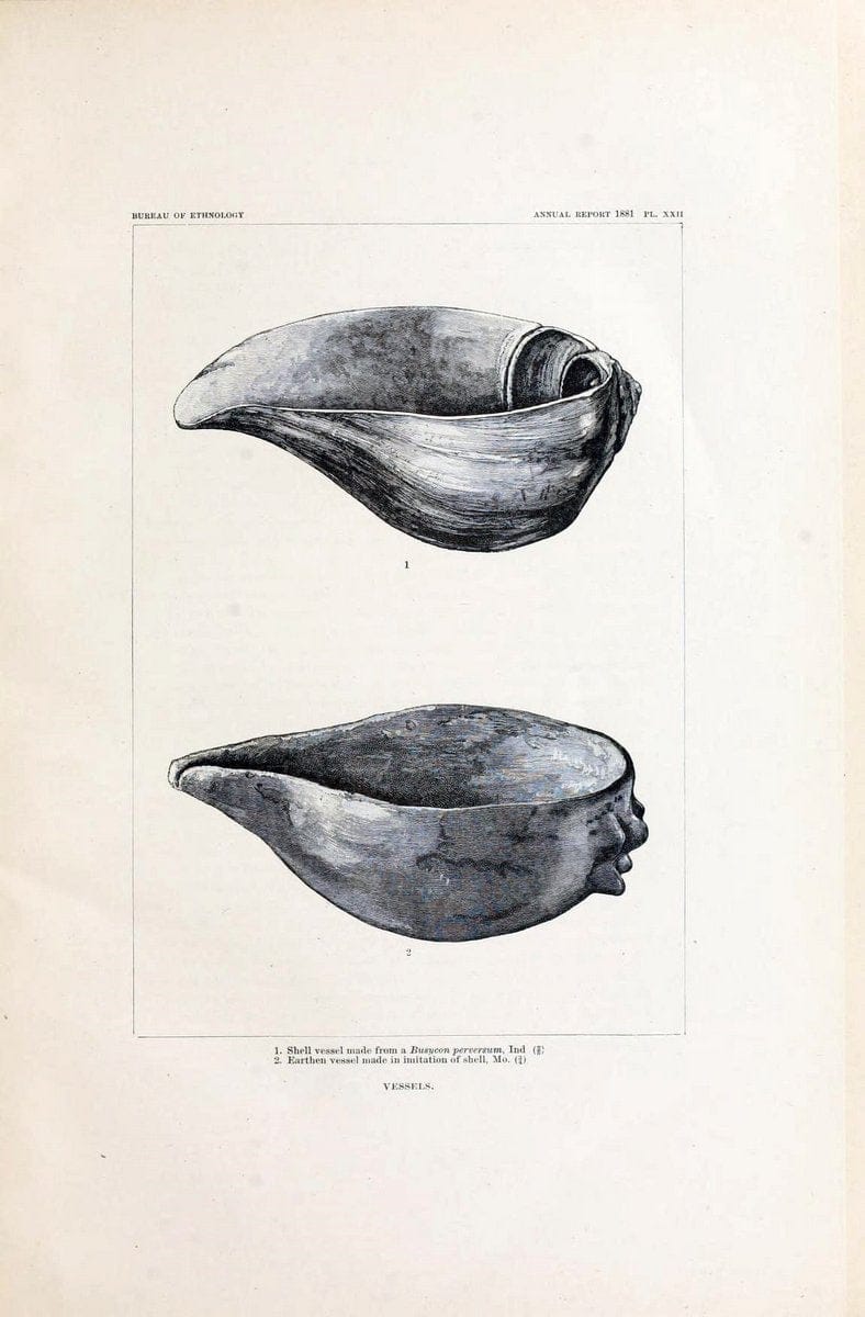 Art in shell of the ancient Americans. Washington,Govt. Print. Off.,1883.  | Antiquities "Indian art" Indians "Shells in art" | Vintage Print Reproduction 458261