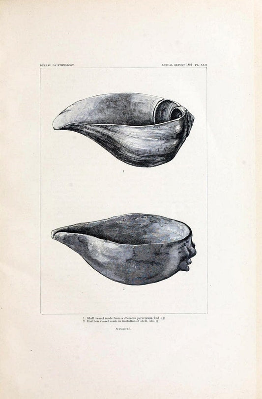 Art in shell of the ancient Americans. Washington,Govt. Print. Off.,1883.  | Antiquities "Indian art" Indians "Shells in art" | Vintage Print Reproduction 458261