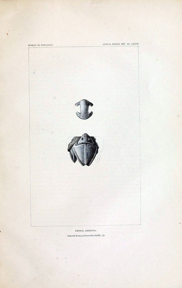 Art in shell of the ancient Americans. Washington,Govt. Print. Off.,1883.  | Antiquities "Indian art" Indians "Shells in art" | Vintage Print Reproduction 458272