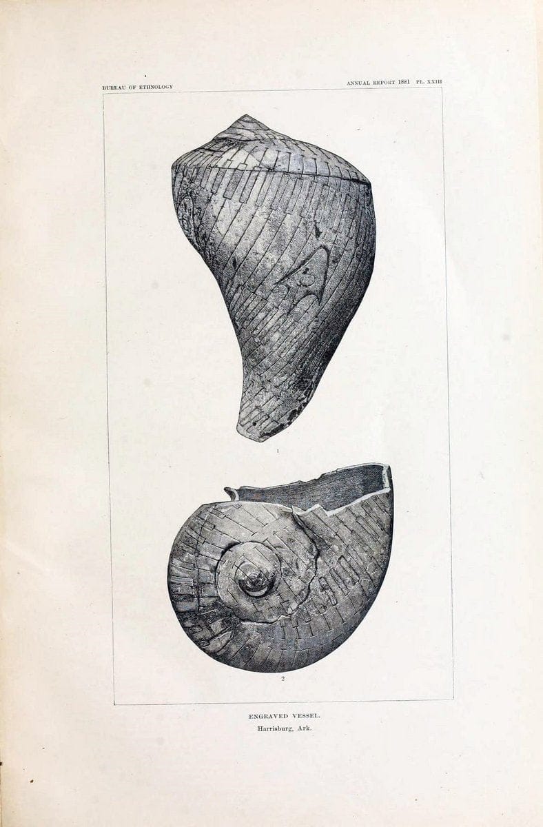 Art in shell of the ancient Americans. Washington,Govt. Print. Off.,1883.  | Antiquities "Indian art" Indians "Shells in art" | Vintage Print Reproduction 458273