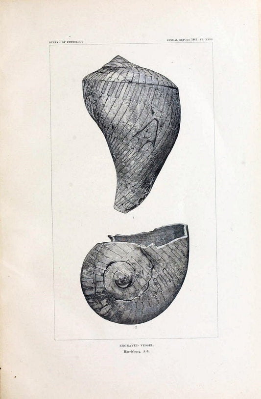 Art in shell of the ancient Americans. Washington,Govt. Print. Off.,1883.  | Antiquities "Indian art" Indians "Shells in art" | Vintage Print Reproduction 458273