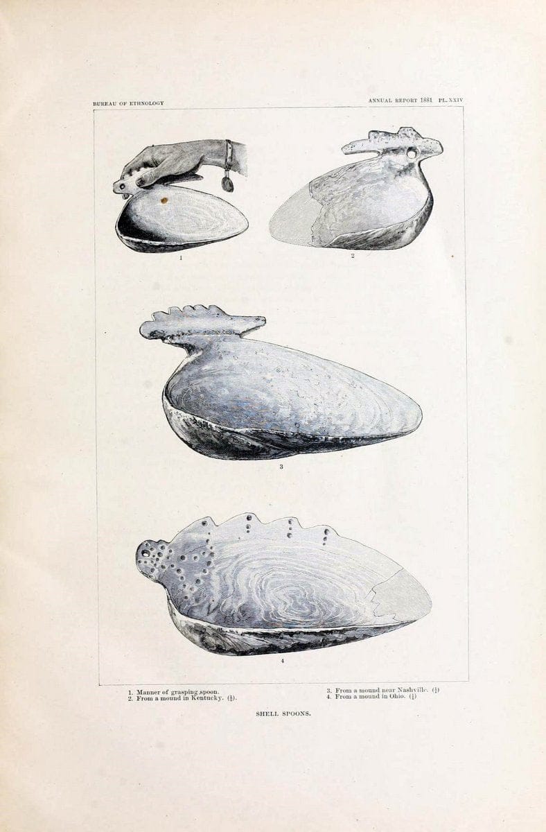 Art in shell of the ancient Americans. Washington,Govt. Print. Off.,1883.  | Antiquities "Indian art" Indians "Shells in art" | Vintage Print Reproduction 458274