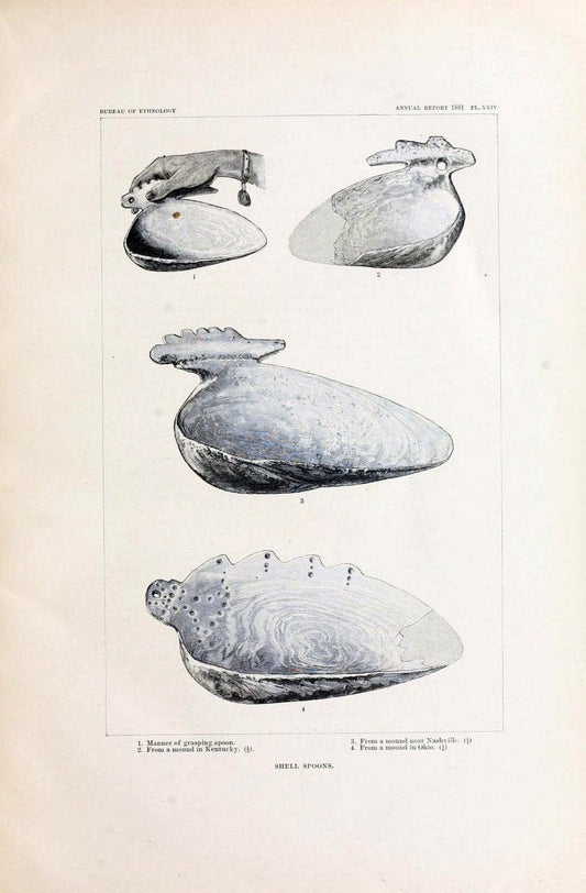 Art in shell of the ancient Americans. Washington,Govt. Print. Off.,1883.  | Antiquities "Indian art" Indians "Shells in art" | Vintage Print Reproduction 458274