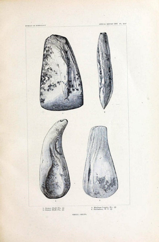 Art in shell of the ancient Americans. Washington,Govt. Print. Off.,1883.  | Antiquities "Indian art" Indians "Shells in art" | Vintage Print Reproduction 458275