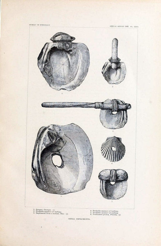 Art in shell of the ancient Americans. Washington,Govt. Print. Off.,1883.  | Antiquities "Indian art" Indians "Shells in art" | Vintage Print Reproduction 458276