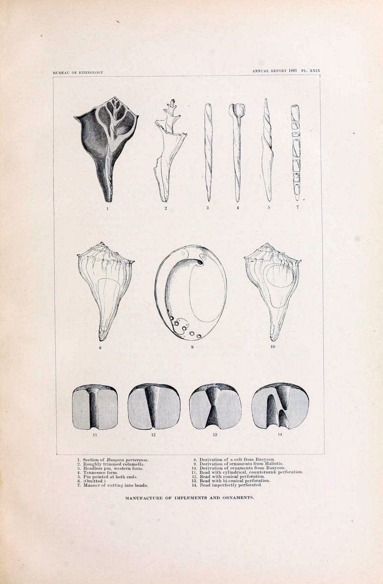 Art in shell of the ancient Americans. Washington,Govt. Print. Off.,1883.  | Antiquities "Indian art" Indians "Shells in art" | Vintage Print Reproduction 458279