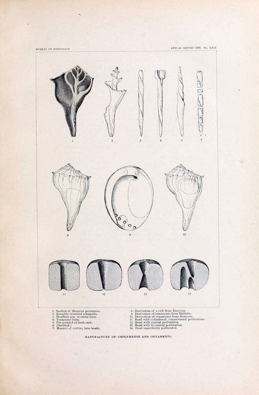 Art in shell of the ancient Americans. Washington,Govt. Print. Off.,1883.  | Antiquities "Indian art" Indians "Shells in art" | Vintage Print Reproduction 458279