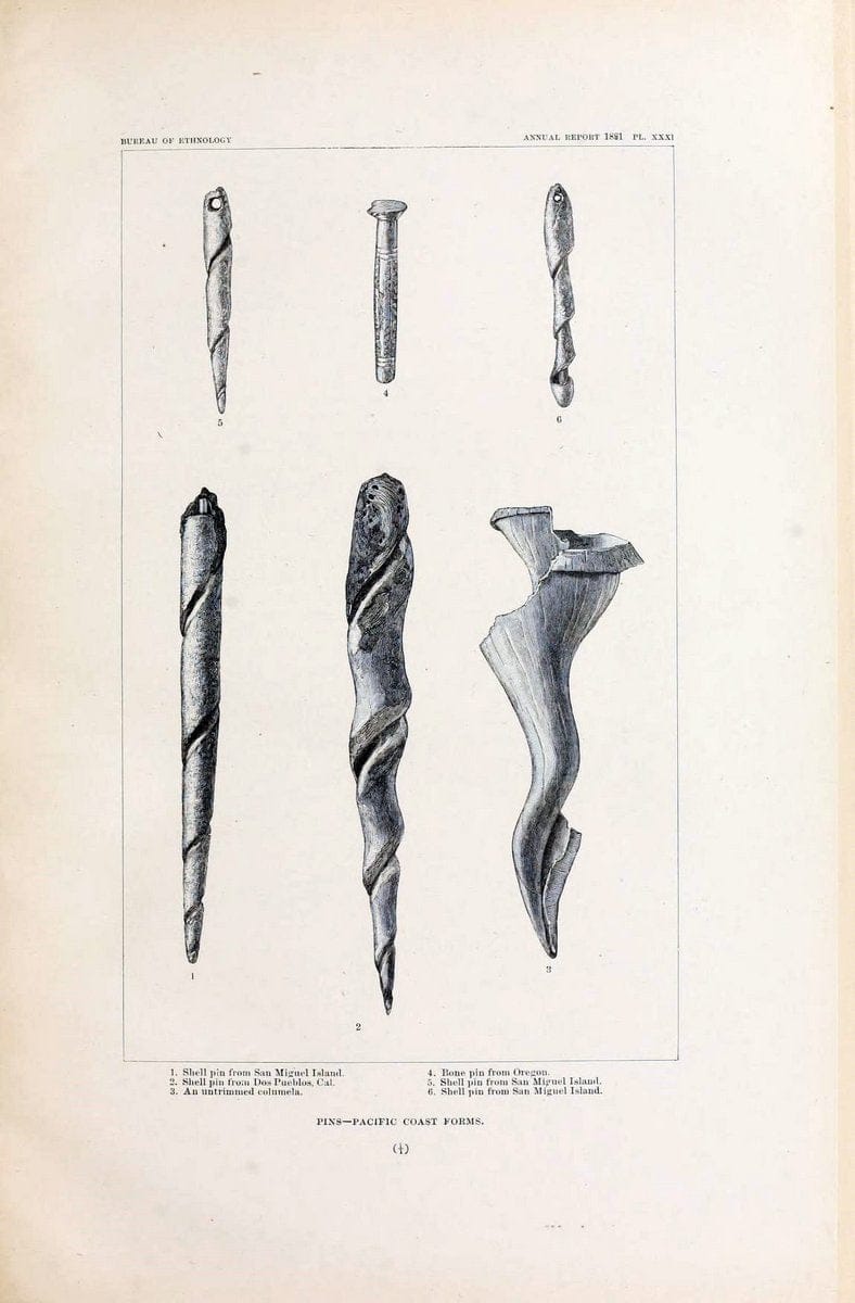 Art in shell of the ancient Americans. Washington,Govt. Print. Off.,1883.  | Antiquities "Indian art" Indians "Shells in art" | Vintage Print Reproduction 458281